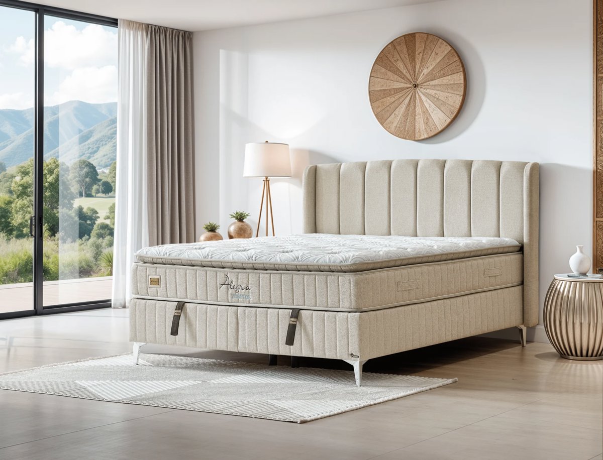 ARMİS Alegra Master Set